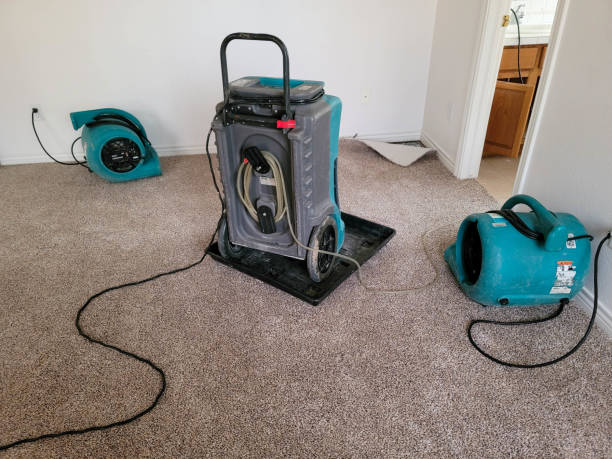 Best Fire Damage Restoration  in Ceresco, NE