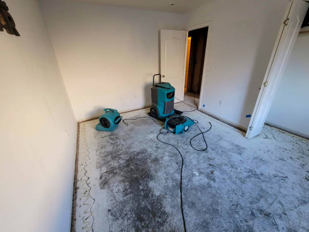 Best Water damage restoration near me  in Ceresco, NE