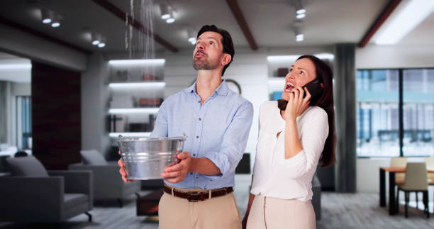 Best Water damage cleanup near me  in Ceresco, NE